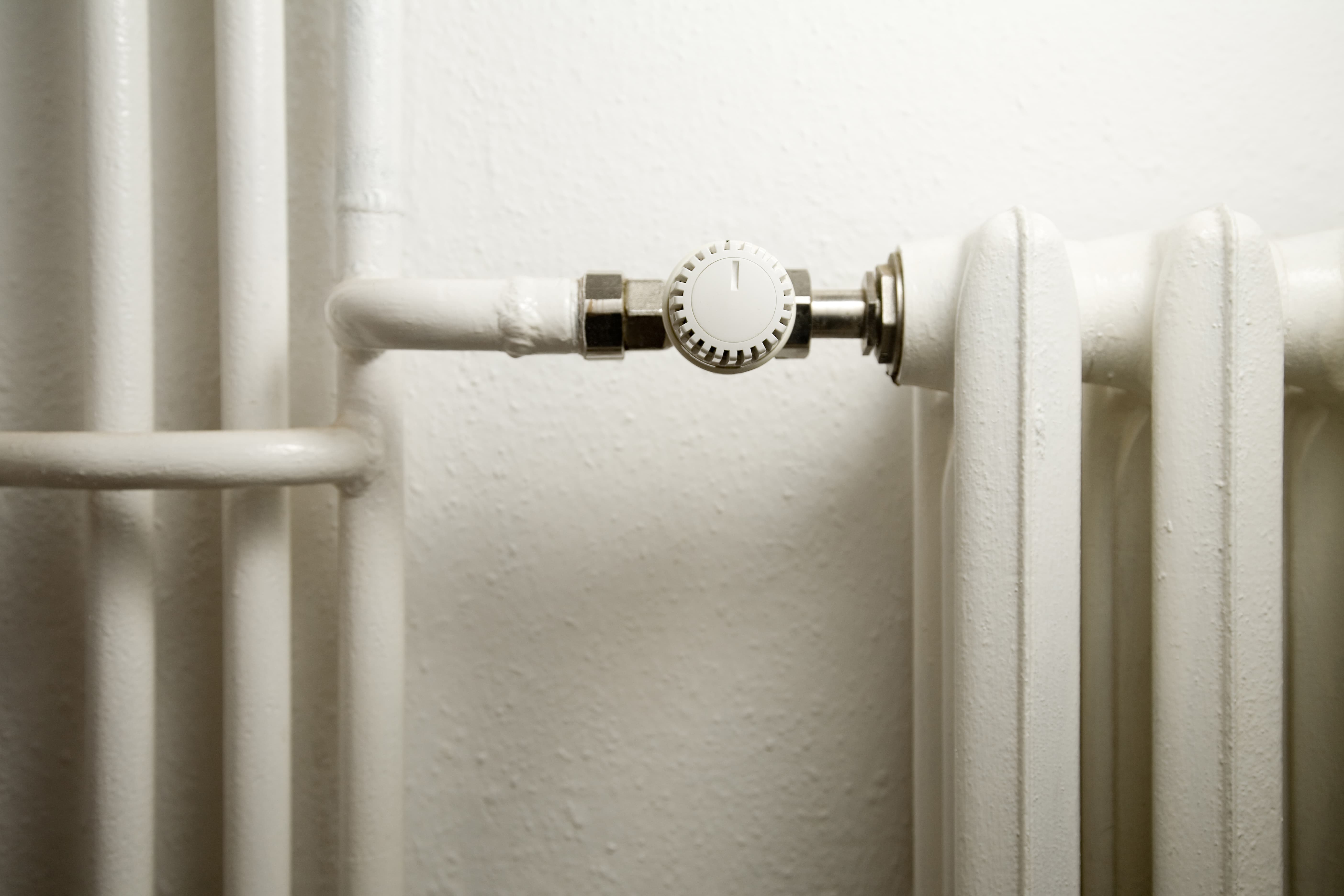 radiateur et son tuyau radiateur et son tuyau